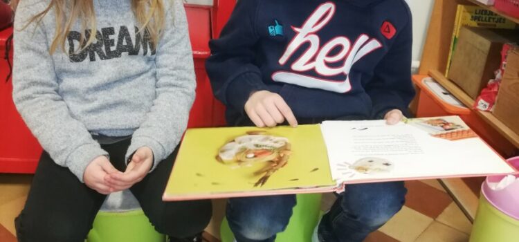 3de lj- 2de Kl: Samen lezen en boekjes ontdekken. 3de lj- 2de Kl: Samen lezen en boekjes ontdekken.