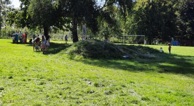 Onze tuin Onze tuin